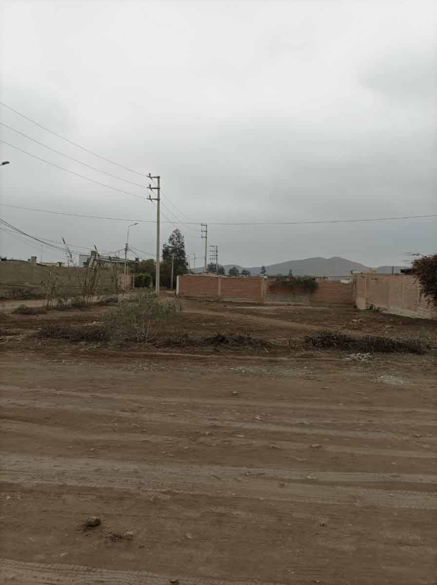 claudia-espinoza-c01-03